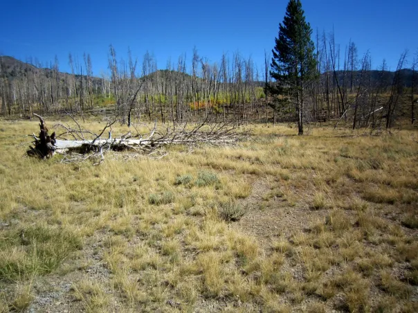 Open Idaho backcountry terrain beneath a clear blue sky